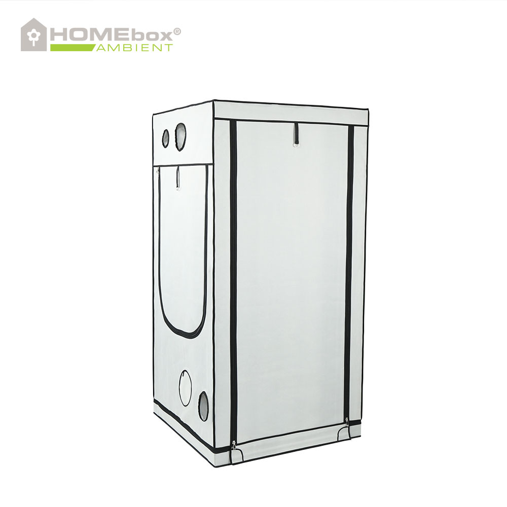 Homebox - Ambient Q100