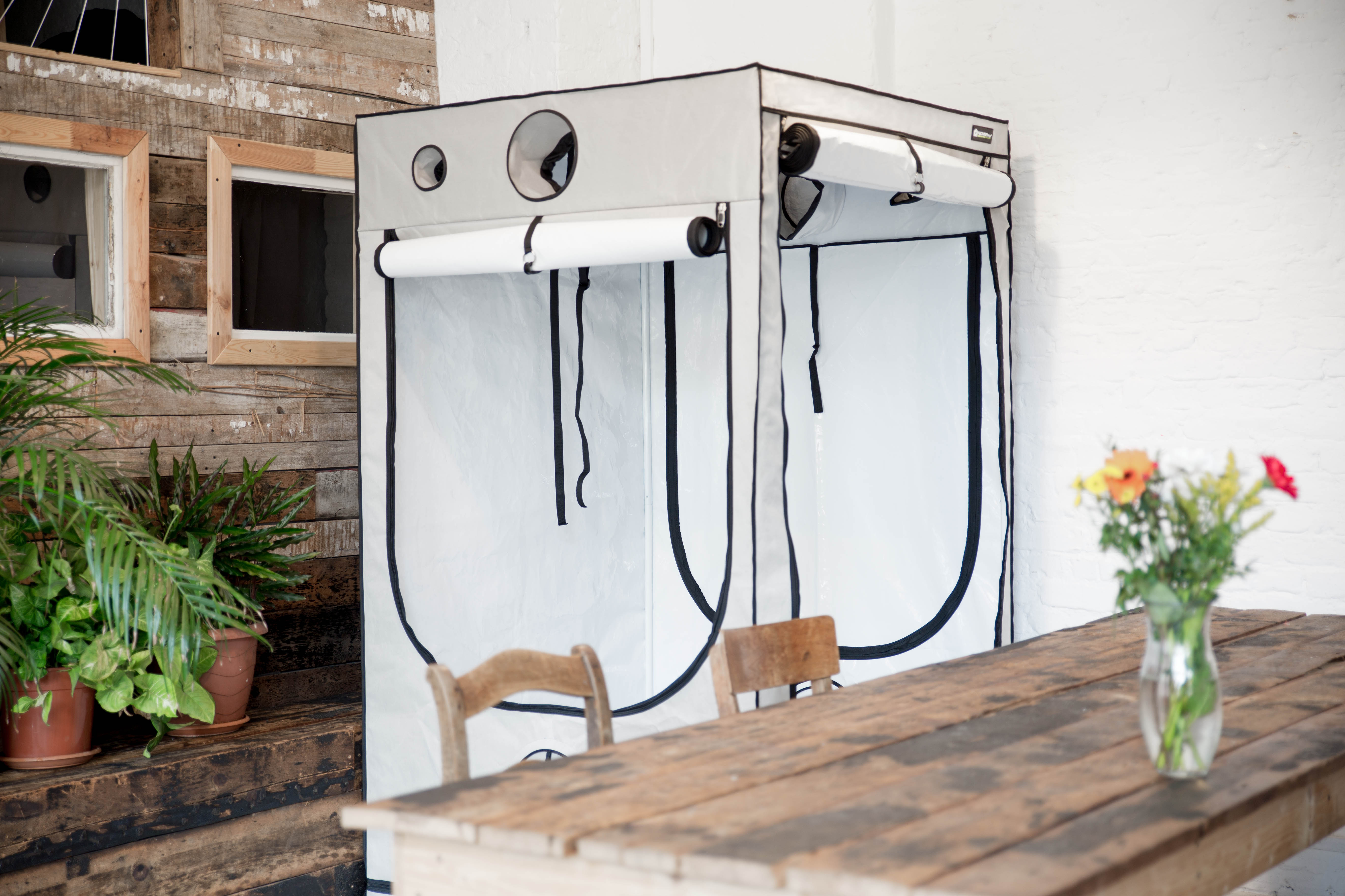 Homebox - Ambient Q60