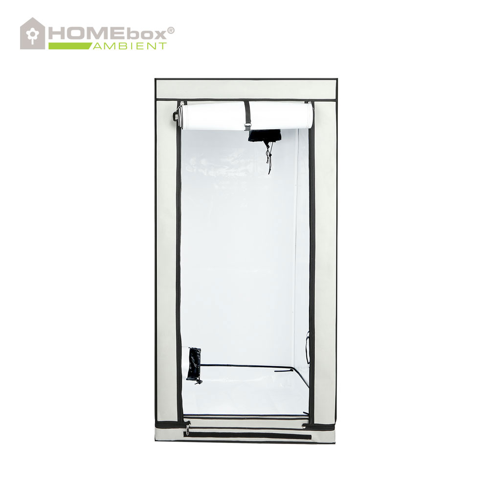 Homebox - Ambient Q80