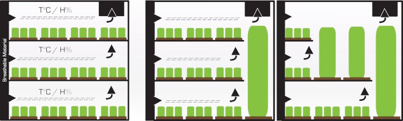 Secret Jardin - DARK PROPAGATOR DP120 120x60x120