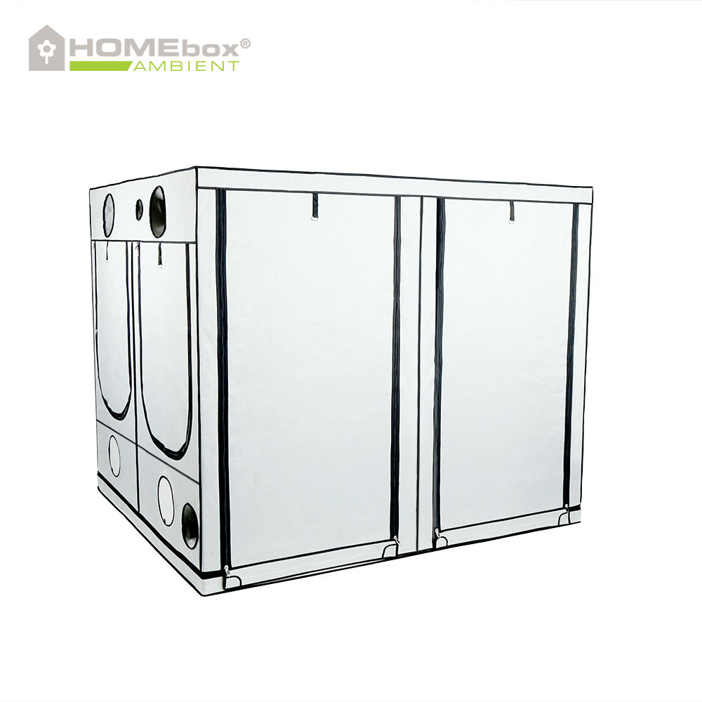 Homebox - Ambient Q300