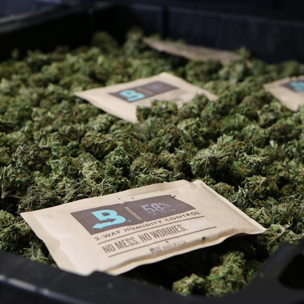 Boveda Over Wrapped 62% Humidy Pack 67g