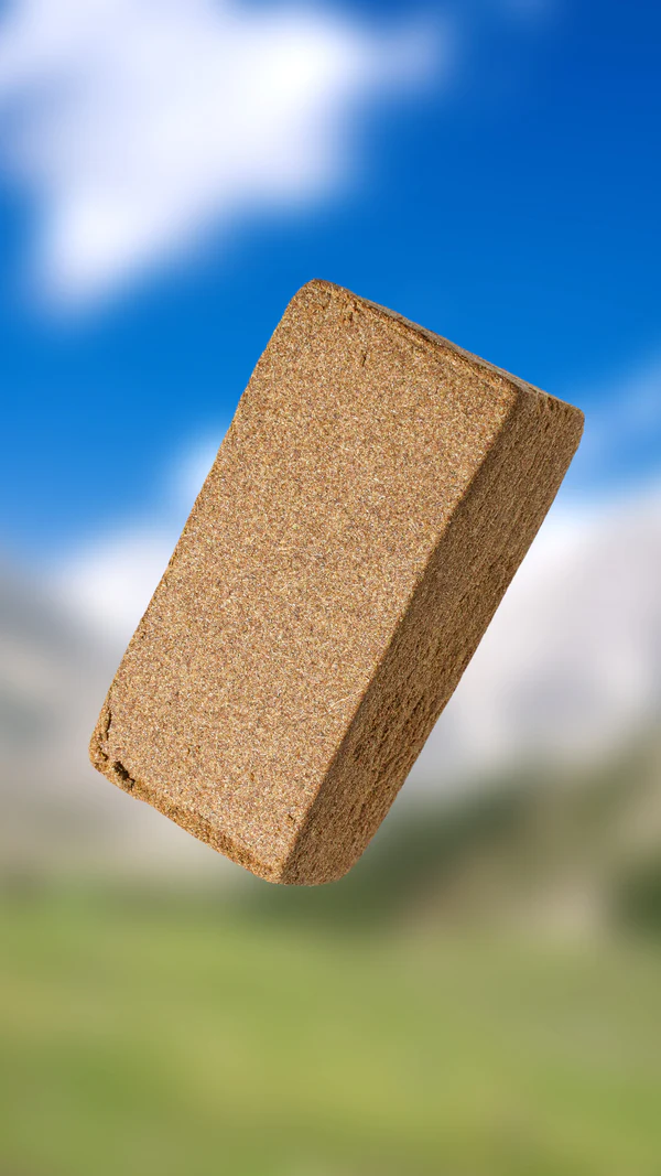 Starbuds Ketama CBD Hash 30g