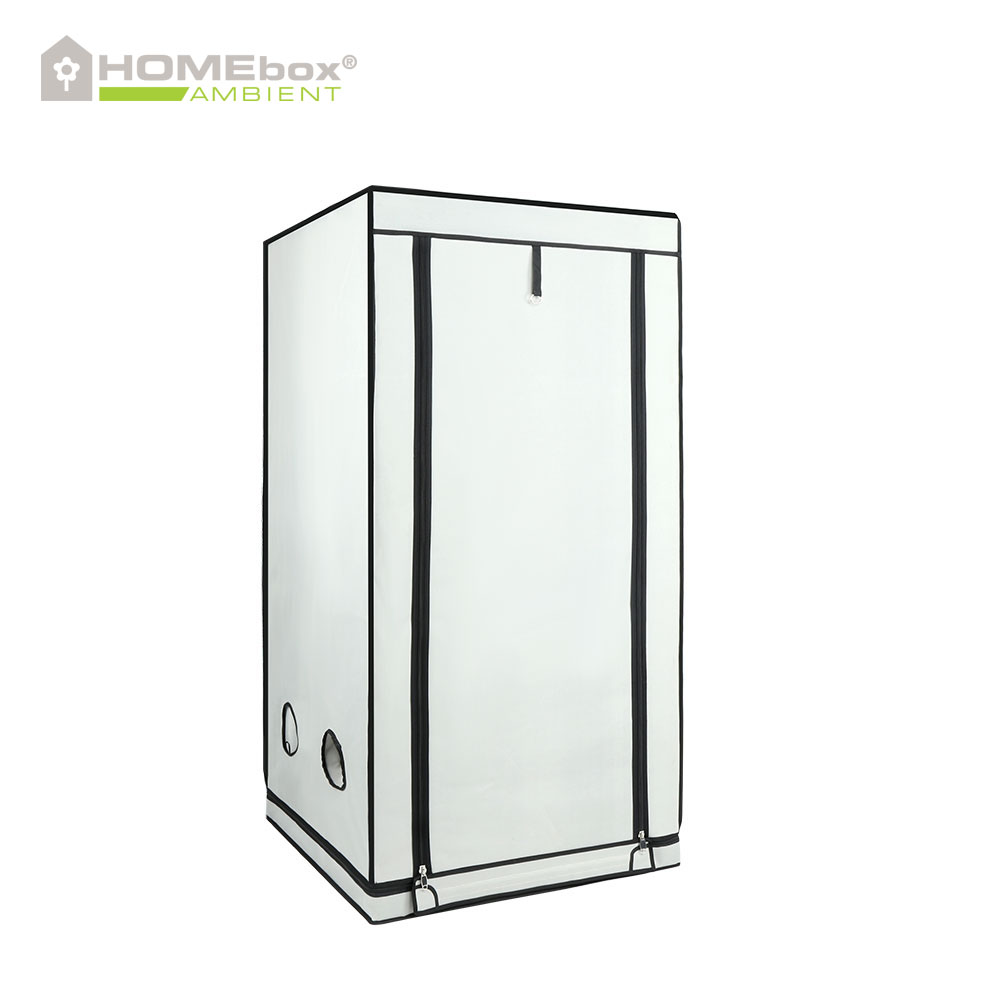 Homebox - Ambient Q80